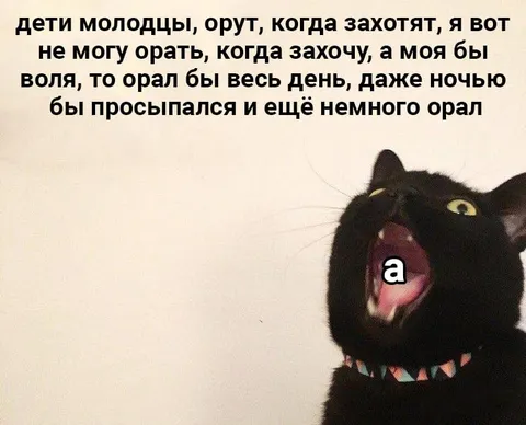 Кот, который хочет орать