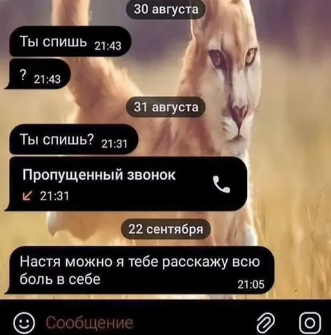 Настя, можно расскажу всю боль