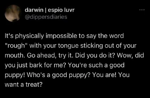 Tongue Sticking Out Puppy Trick