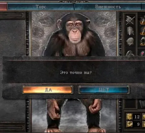 Это точно вы? Обезьяна