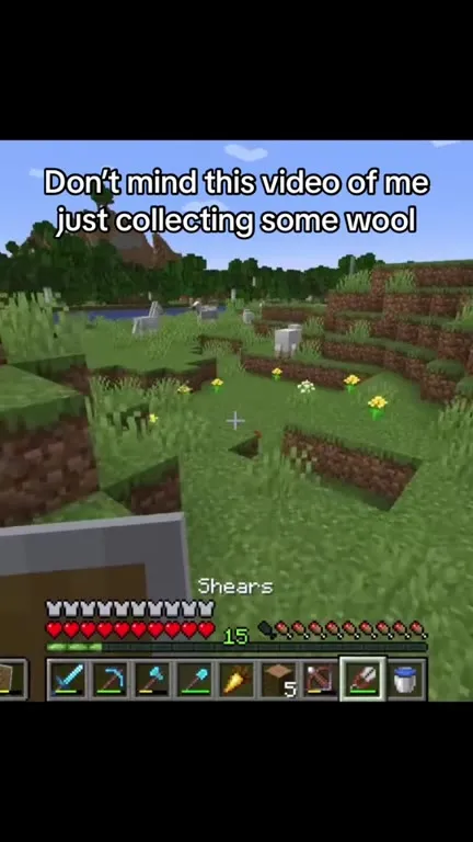 Just Collecting Some Wool