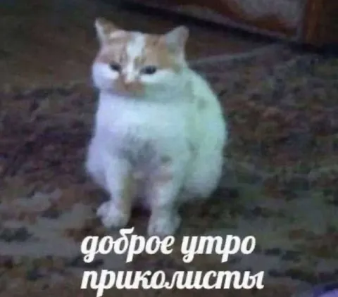 Доброе утро приколисты