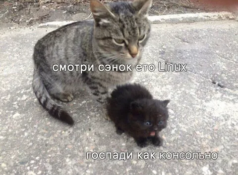 Смотри сэноκ, это Linux