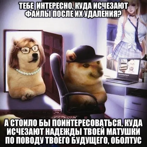 Куда исчезают надежды матушки