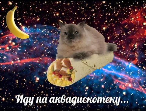 Иду на анвагуском