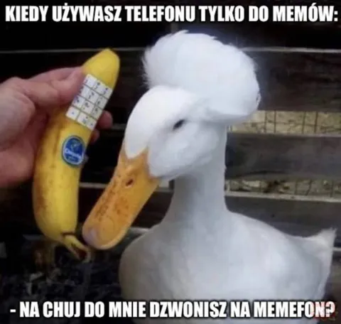 Telefon tylko do memów
