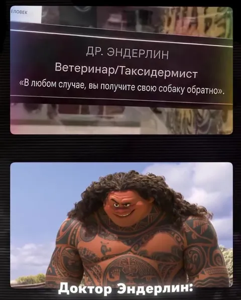 Доктор Эндерлин вернёт собаку