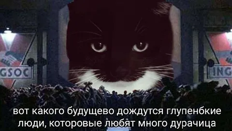Будущее для любителей дурачиться