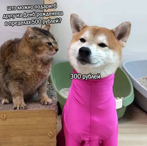 Подарок другу за 300 рублей