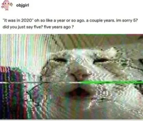 Five Years Ago Cat Panic
