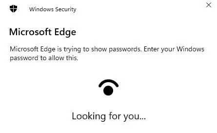 Windows Looking for You