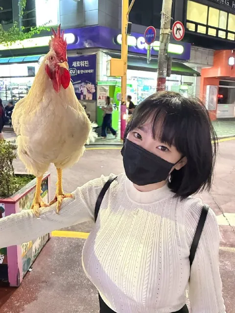 닭과 함께한 셀카