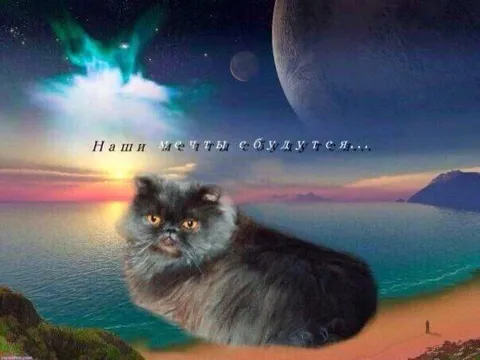 Наши мечты сбудутся