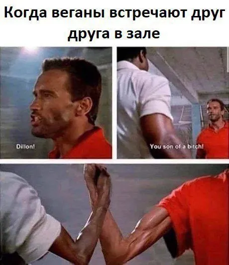Когда веганы встречают друга в зале