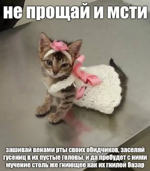 Не прощай и мсти