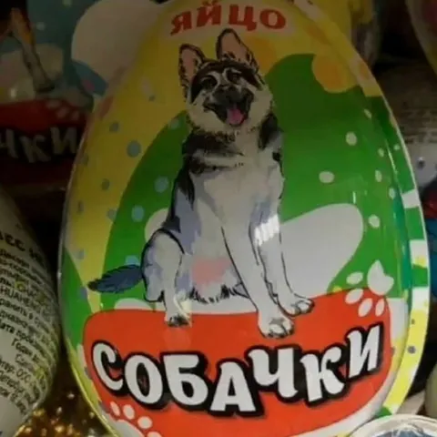 Яйцо с собачками