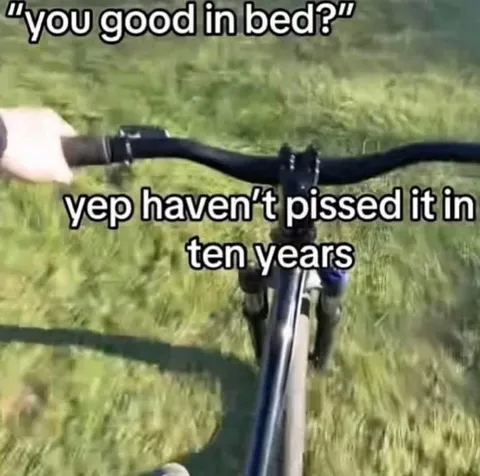 Haven't Pissed It In Ten Years