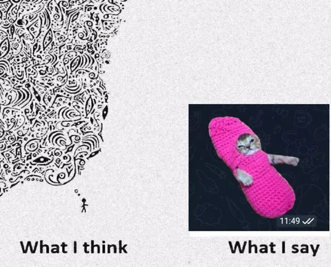 What I Think vs What I Say