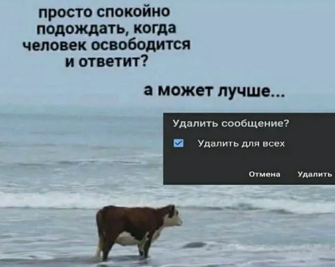 Лучше удалить сообщение