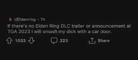 Elden Ring DLC or Car Door