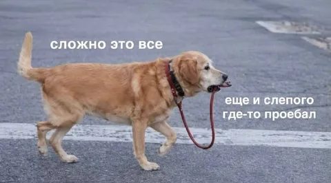 Сложно это все