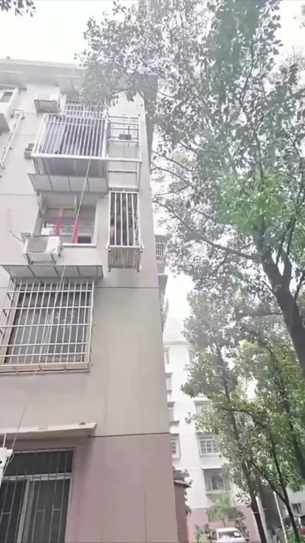 Клетка спускается с окна