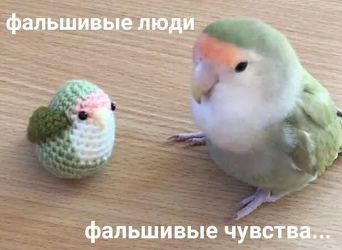 Фальшивые люди, фальшивые чувства
