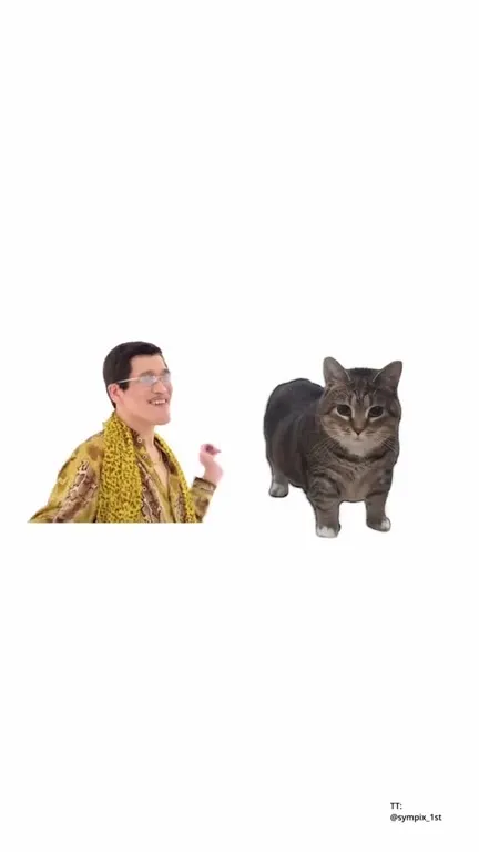Pikotaro Dances With Rats