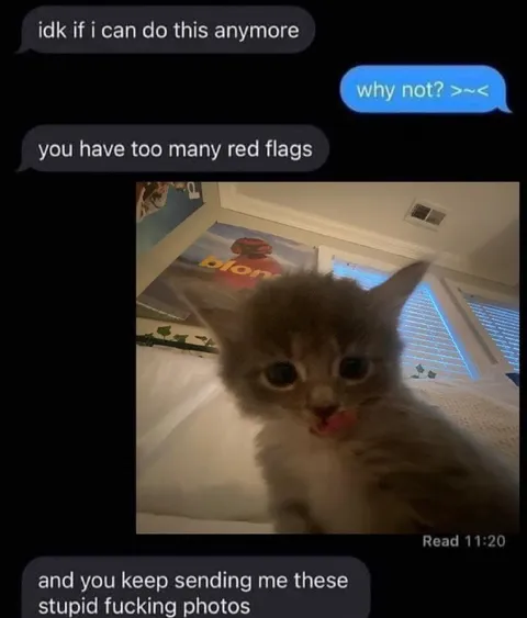 Too Many Red Flags
