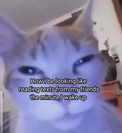 Sleepy Cat Reading Morning Texts