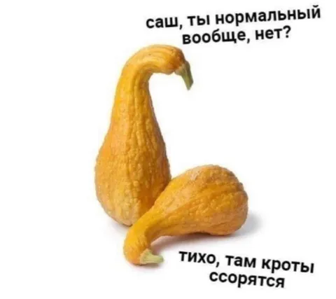 Саш, ты нормальный вообще?