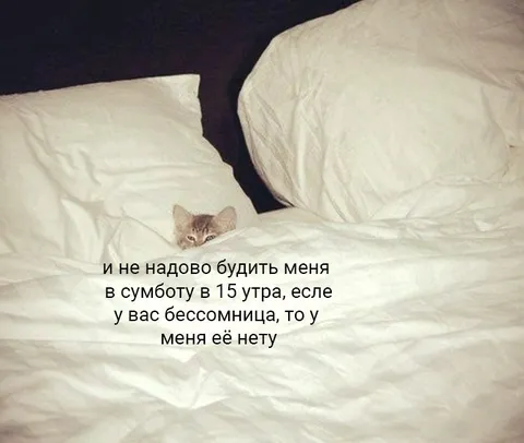 Не будите меня в субботу