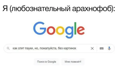 Любознательный арахнофоб ищет про пауков