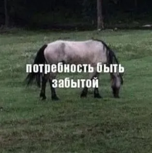 Потребность быть забытой