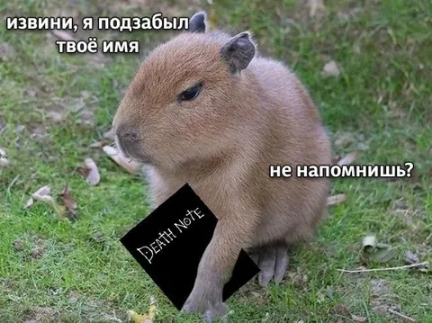 Извини, я подзабыл твоё имя