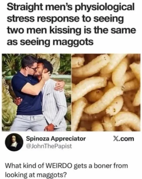 Straight Men Seeing Maggots