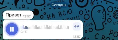 Войс на восемнадцать секунд