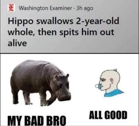 Hippo Swallows Toddler Whole