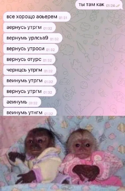 Когда пытаешься написать «вернусь утром»