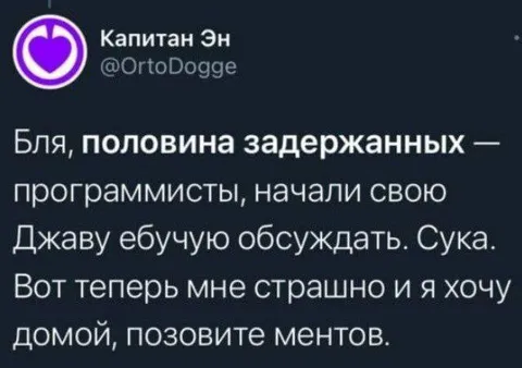 Половина задержанных — программисты