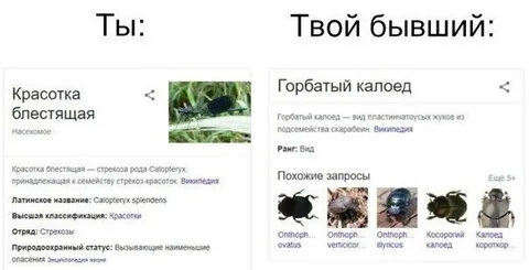 Ты и твой бывший