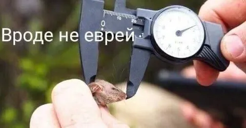 Вроде не еврей