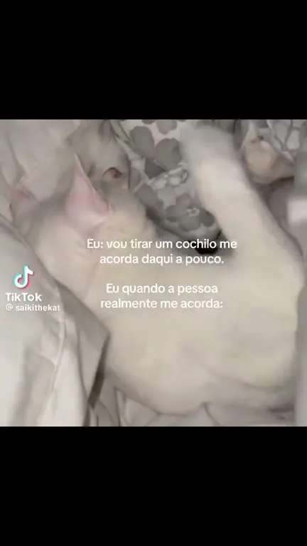 Quando me acordam de verdade
