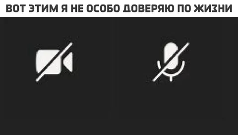 Вот этим я не доверяю