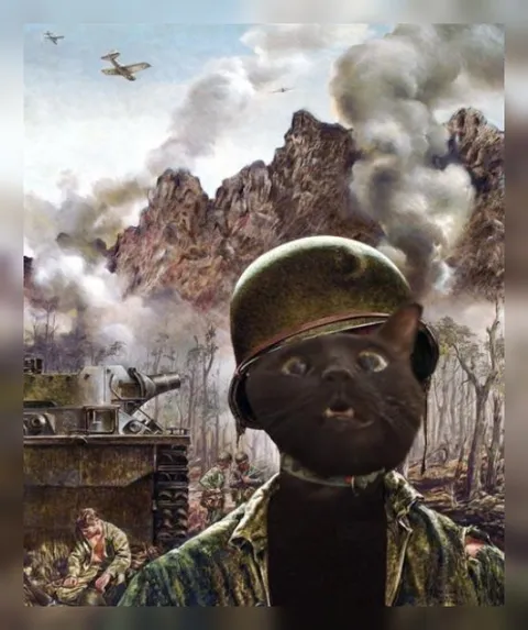 Кот-солдат на войне