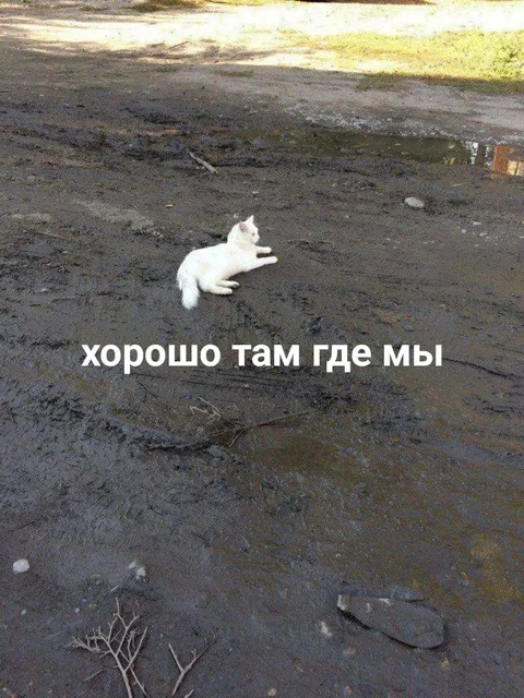 Хорошо там, где мы