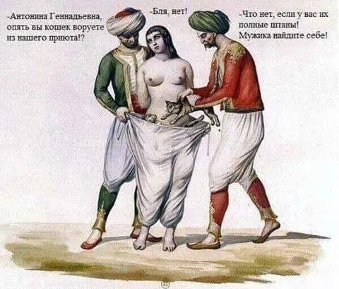 Кошки из проката