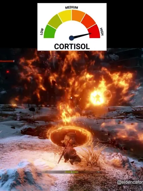Cortisol level during Sekiro