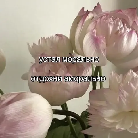 Устал морально — отдыхни аморально