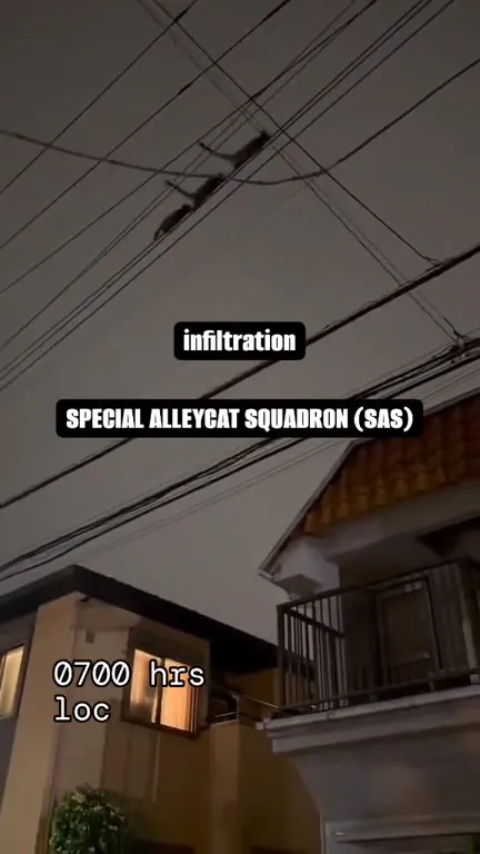 Special Alleycat Squadron Infiltration